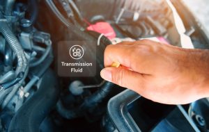 BMW Transmission Fluid